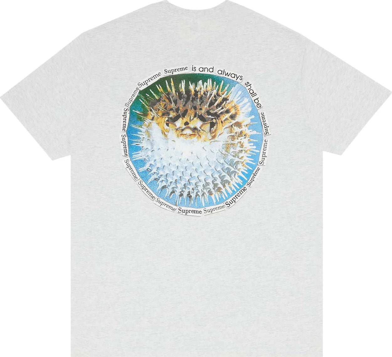 Supreme Blowfish Tee Ash Grey