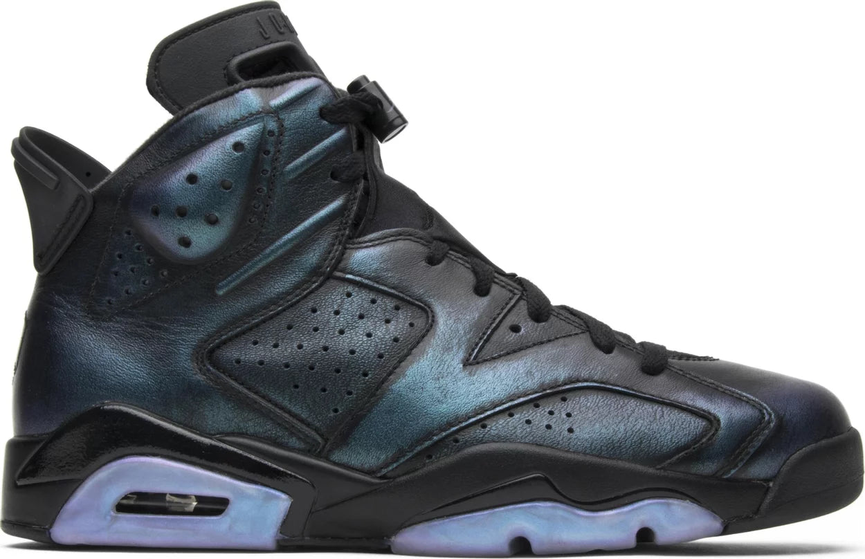 Nike Air Jordan 6 'Chameleon' (Preowned)