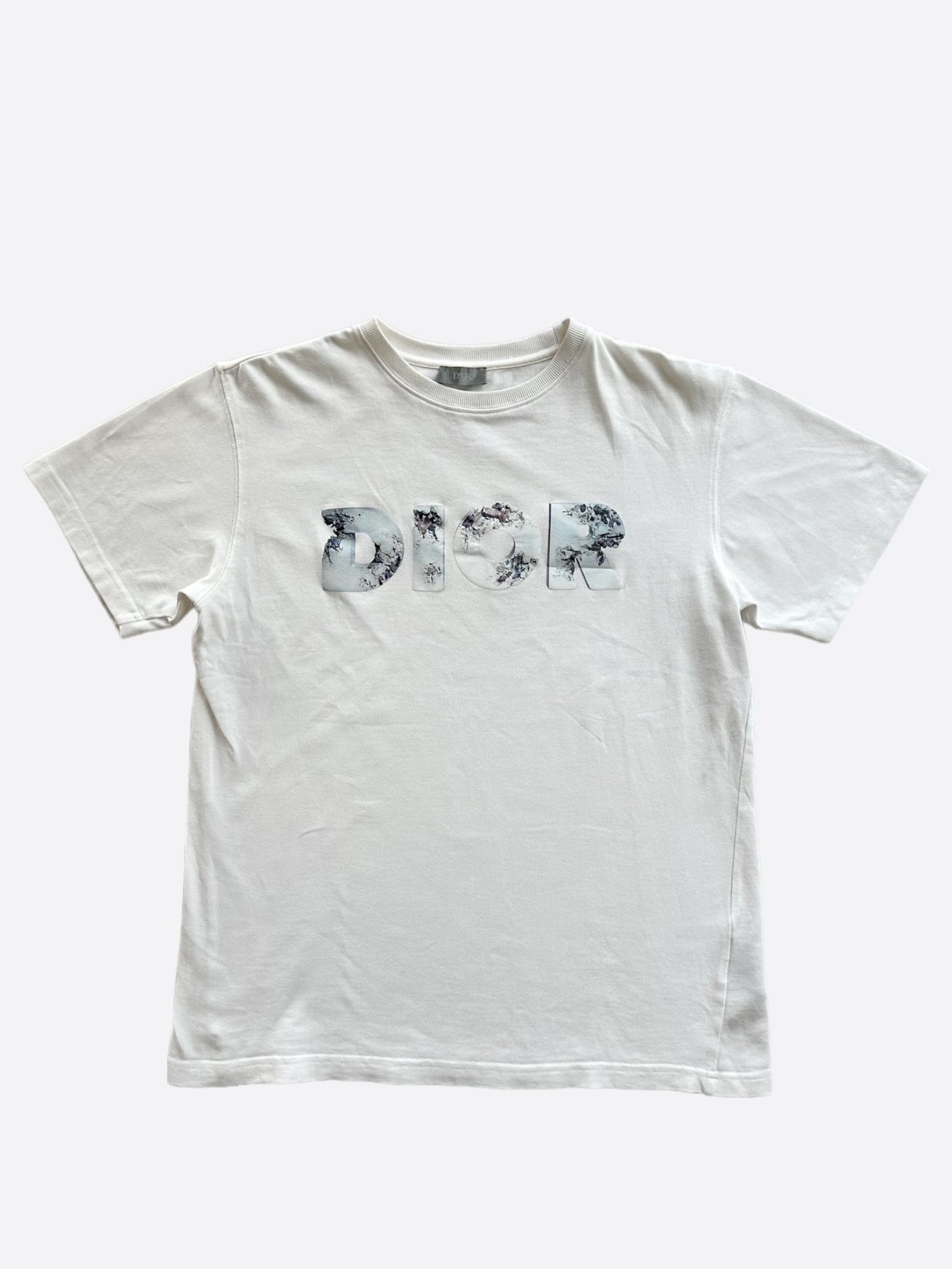 Dior Daniel Arsham Future Relic Logo Tee White (Pre-Owned)